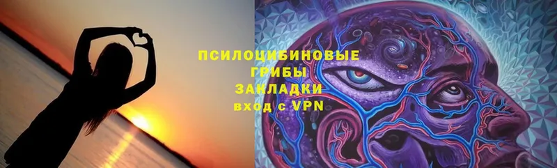 Галлюциногенные грибы Psilocybe  Белинский 